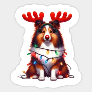 Christmas Red Nose Shetland Sheepdog Sticker